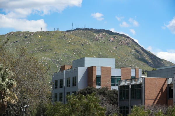 pic3